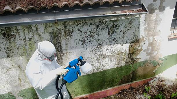 Trusted Mold Remediation service in Harwood, MD - Cheap Mold Removal